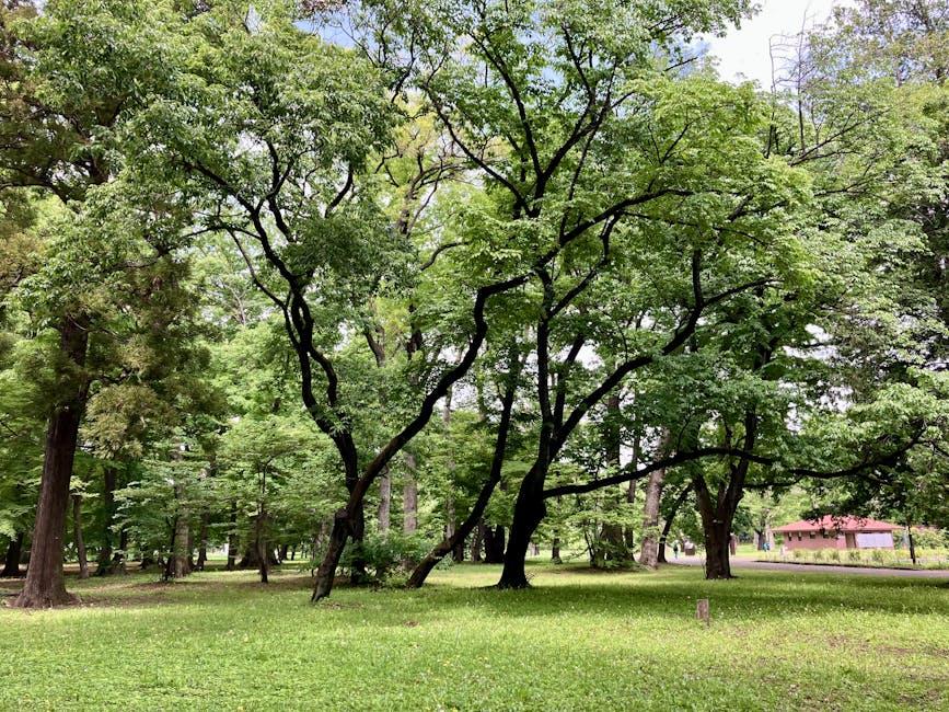 Add a β’Twist: Fun Mix-Ins to βAmpβ£ up theβ Benefits