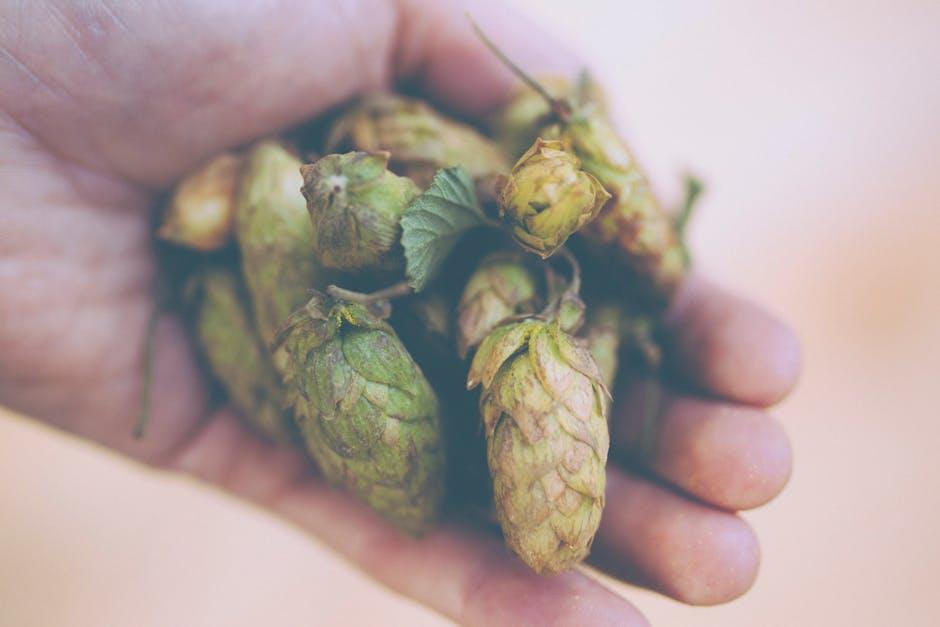 Brew like a Pro with Top-notch Coffee Makers