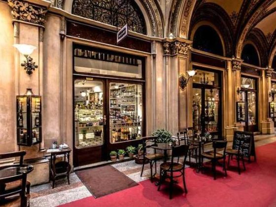 Brews and Adventures: My Journey Through Coffee Culture