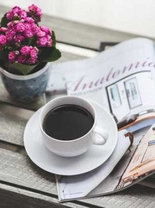 Bean There, Done That: Your Guide to Coffee Plants!
