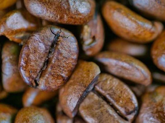 Unlocking Coffee Beans in Stardew Valley: Brew-tiful Tips!