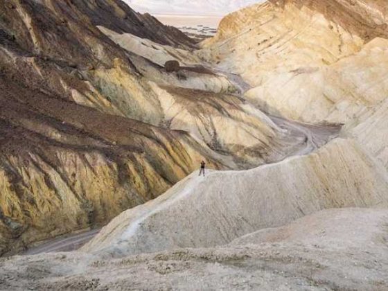 Unlocking Stardew Valley’s Secret: The Joy of Coffee Beans!