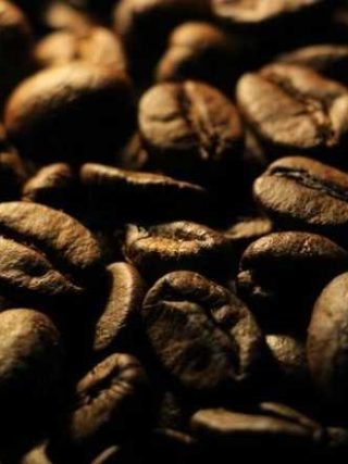 Discover Your Brew: A Fun Guide to Coffee Bean Types!