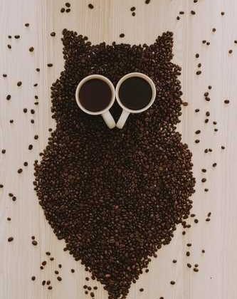 Coffee Lovers Unite: Tips and Recipes to Brew Perfection!