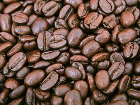 Why Your Morning Brew is the Secret to a Better Day!