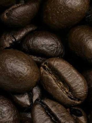 Discover the Buzz: Your Guide to Coffee Bean Types!