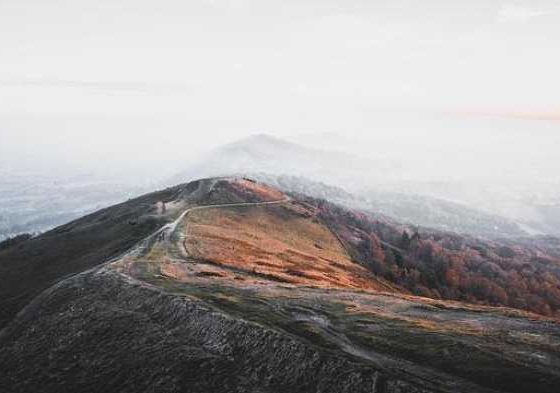 Brews and Views: Wanderlust for Coffee Lovers!