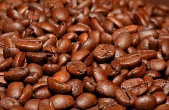 Gift the Perfect Brew: Must-Have Coffee Accessories!