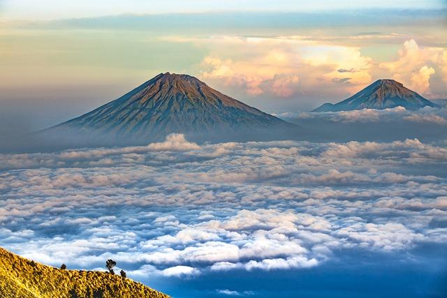 Java Basics:‌ Getting to Know Your ​Coffee Regions