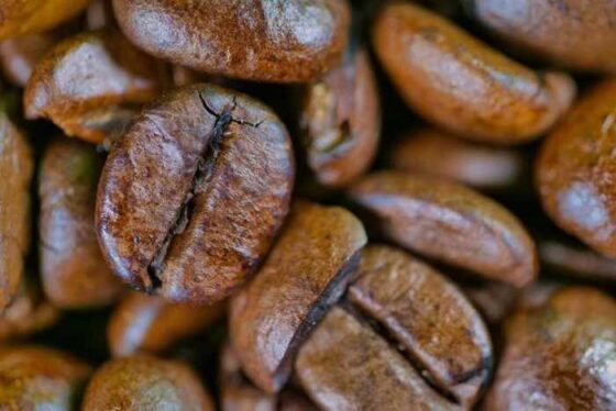 Unlocking the Perks: Why Coffee Beans Are Your Best Bud!