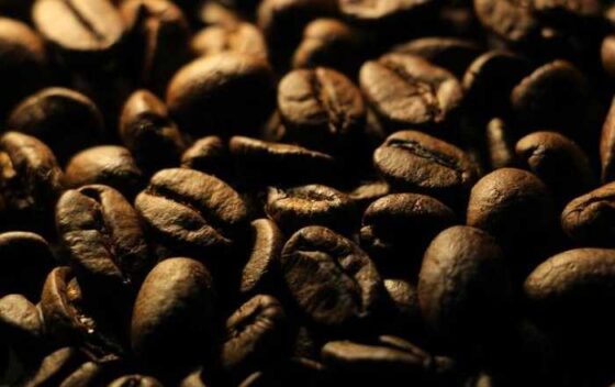 Unlocking the World of Coffee Beans: Your Ultimate Guide!