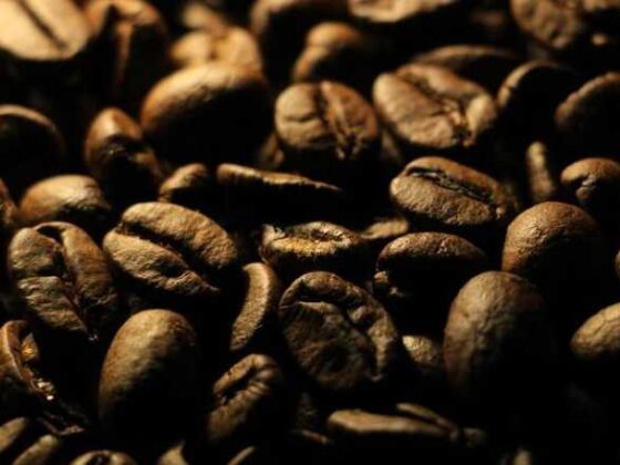 Unlocking the World of Coffee Beans: Your Ultimate Guide!