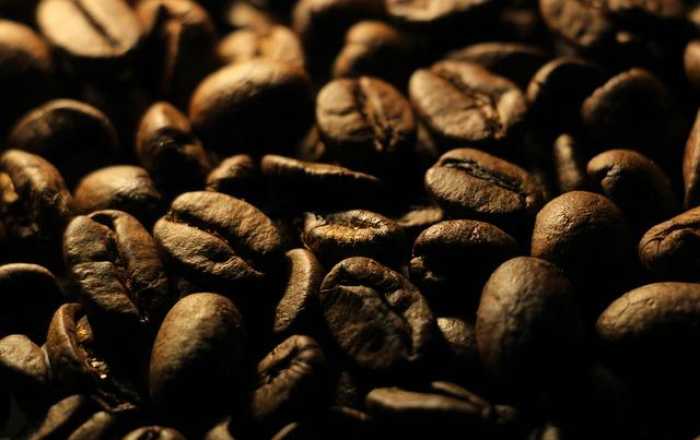 Unlocking the World of Coffee Beans: Your Ultimate Guide!