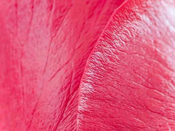 Perfect Gifts for Coffee Lovers: Must-Have Accessories!