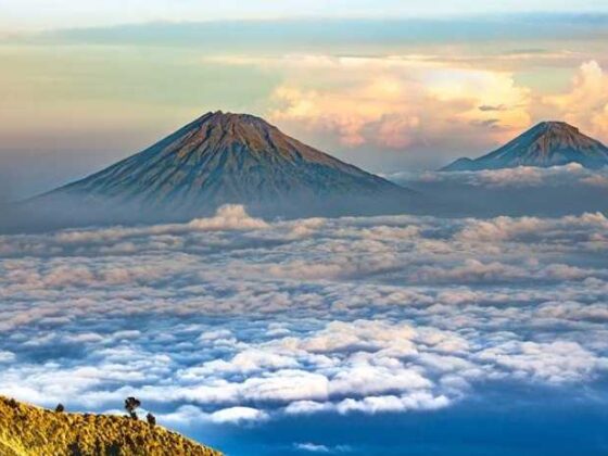 “Java Jive: Fun and Easy Coffee Recipe Tips You’ll Love!”